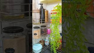 Tips to Organise Your Home home organisation tips kitchenorganization howtoorganise [upl. by Esorlatsyrc]