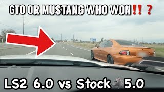 PONTIAC GTO PICKS ON MUSTANG GT  60 LS vs 50 Coyote [upl. by Threlkeld636]