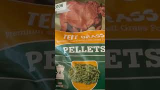 Senior Horse Feed for Dillon horses farm pellets [upl. by Allertse]