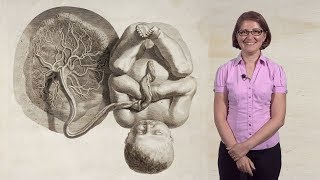 Mana Parast UCSD 1 What is the Placenta [upl. by Siramad]