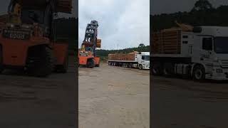 OFF loading TIMBER Situation Right Now [upl. by Derfiniw472]