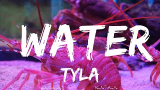 Tyla  Water Remix ft Travis Scott  Soren Music [upl. by Ewald]