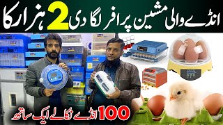 Best Incubator For Chicken Eggs  Now hatch a chicken egg at Home  Automatic 1000 Eggs incubator [upl. by Bradski]