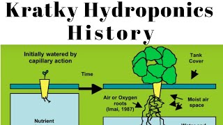 History of the Suspended Pot Non Circulating Kratky Hydroponic Method [upl. by Nnyleve]