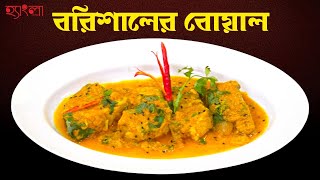 বরিশালের বোয়াল Recipe  Hangla Hneshel  Traditional Barishal Style Boal Fish Curry [upl. by Ellehcer982]