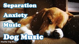 Soothing Music to Relax Your Dog 🐶 Calm Your Dog and Combat Anxiety [upl. by Rainie]