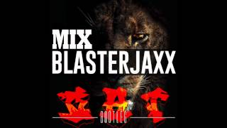 Blasterjaxx Mix 2013 [upl. by Chaing598]