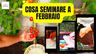 Cosa Seminare a Febbraio [upl. by Urdna921]