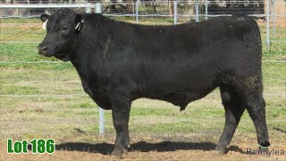 Lot 186 Rennylea NOR23U564 [upl. by Marysa313]