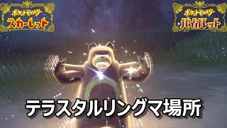 【ポケモンSV】テラスタルリングマ場所 野生テラスタル＃５５【スカーレット・バイオレット】 [upl. by Aunson]