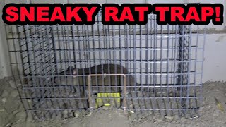 Sneaky Rat Trap For Sneaky Rats [upl. by Munshi]