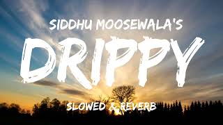 DRIPPY  Slowed and Reverb  Siddhu moosewala  Zebaish Sounds [upl. by Soinotna]