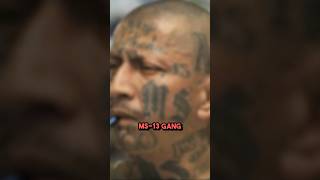 Aggravated Felon  Deported MS13 Gang Member ReEnters [upl. by Yelsew]