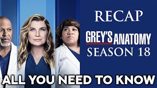 Grey´s Anatomy Season 18 Recap  ALL YOU NEED TO KNOW [upl. by Annaesor]