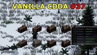 Vanilla Project Zomboid CDDA Challenge 37  Full Gameplay [upl. by Werna311]