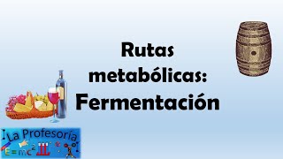 Rutas metabólicas fermentación [upl. by Engapmahc]