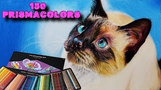 UNBOXING 150 PRISMACOLORS  COLOREANDO GATO SIAMÉS  ArteMaster [upl. by Soisatsana]