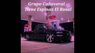 Grupo Cañaveral  Tiene Espinas El Rosal  EPICENTER BASS  𝕾𝖑𝖔𝖜𝖊𝖉 [upl. by Merrill587]