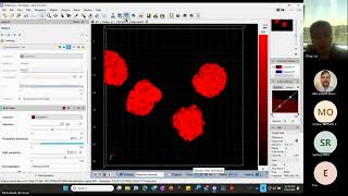 Zeiss Arivis Training III Colocalization [upl. by Brennen]