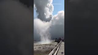 Yellowstone tourists run after small hydrothermal explosion shorts [upl. by Davidoff]