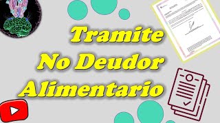 Tramite para Certificado de No Deudor Alimentario Moroso [upl. by Notxap]