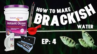 Brackish Water The EASY Way  BB Aquatics EP 4 [upl. by Belmonte]