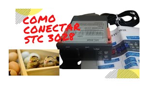 🛑 Aprende cómo conectar programador termostato higrómetro stc3028🐔INCUBADORA teslaven [upl. by Ardaid]