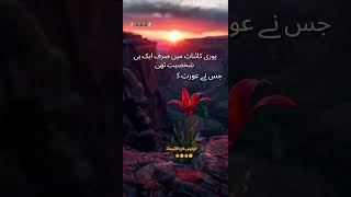 عورت کا مقام🌼New beautiful video Short videotypist Firdous khan plz subscribed my channel [upl. by Helenka]