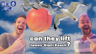 How many seagulls could lift James Giant Peach [upl. by Ratcliffe]