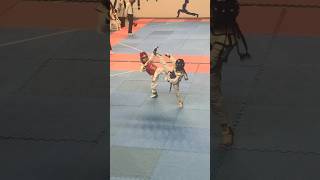 taekwondo karate martialarts poomsae mma tkd judo blackbelt sports kickboxing acrobatics [upl. by Ogu]