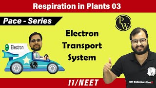 Respiration in Plants 03  Electron Transport System  Class 11  NEET  Pace Series [upl. by Branham318]