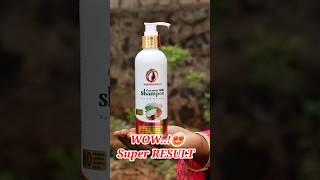 WOW🤩 Super RUSULT🔥Best Cocounut Milk Shampoo For All Hair And Scalp Type shampoo shorts shiny [upl. by Bor256]