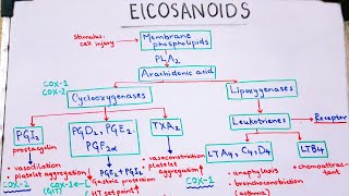 Eicosanoids pharmacology PROSTAGLANDINS made EASY and QUICK [upl. by Nahsed472]