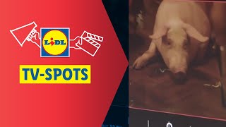 Bij Lidl is de juiste keuze snel gemaakt  Behind the scenes [upl. by Valonia346]