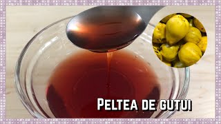 Peltea de GUTUI reteta simpla  Cum sa faci pelteajeleu de GUTUI  PASSION [upl. by Delia42]