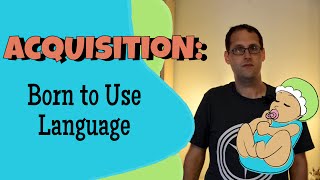 Language Acquisition and Universal Grammar [upl. by Adnael]