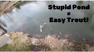 Fishing a stupid pond for stocked trout in Western NY [upl. by Jamin804]