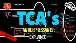 TCAs Mechanism of action Side effects Tricyclic antidepressants Pharmacology [upl. by Shirah]