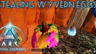 Stealing wyvern eggs on scorched earth with an argentavis official in ark survival ascended ark [upl. by Mencher691]