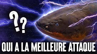 5 ANIMAUX avec les MEILLEURES ATTAQUES [upl. by Englebert]