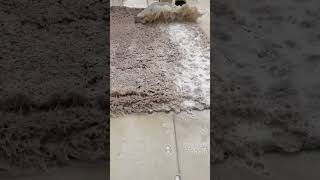 Beautiful scraping asmr cleaning satisfying carpet asmrcleaning trending asmr cleaningvideos [upl. by Ybloc]