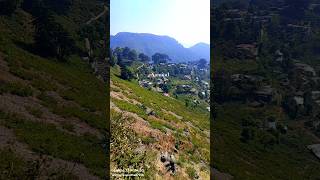 देखो क्या घनेरे ऊंचे ऊंचे पर्वतों के साए है trending 4kshorts viralshort mountains nainital 4k [upl. by Hsirehc]