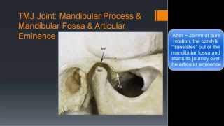 TEMPOROMANDIBULAR JOINT  ANATOMY  SIMPLIFIED [upl. by Almita]