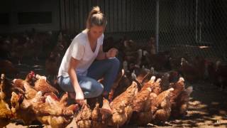 Rachel Wilson an Australian freerange egg farmer [upl. by Llerrit457]