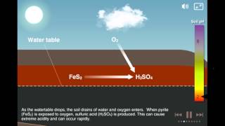 Coastal Acid Sulfate Soils [upl. by Iclek]