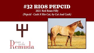 RTTR 2024  Hip 32 Rios Pepcid [upl. by Earased34]