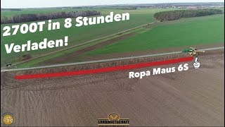 Zuckerrüben für die Biogasanlage Ganze 2700T in 8 Stunden Verladen ROPA MAUS 6S machts Möglich [upl. by Siusan]