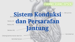 Sistem Konduksi Jantung dan Persarafan pada Jantung [upl. by Bard]