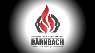 Video bei der Balleröffnung 2017  FF Bärnbach [upl. by Seuguh547]