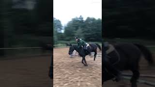 Myślę że w niedziele będzie gleba 💪✨ fypシ゚viral horsing equestrian riding fans [upl. by Aled356]